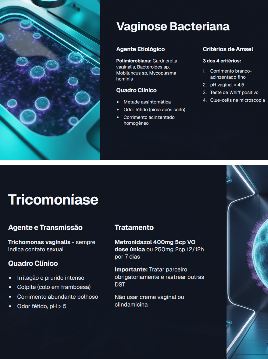 CARDS - Site WordPressElementor (13)