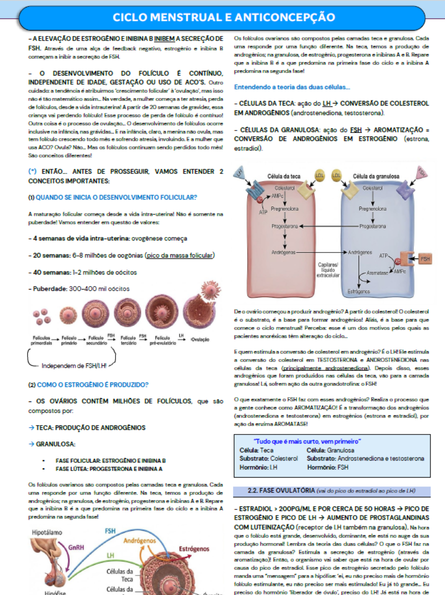 CARDS - Site WordPressElementor (6)