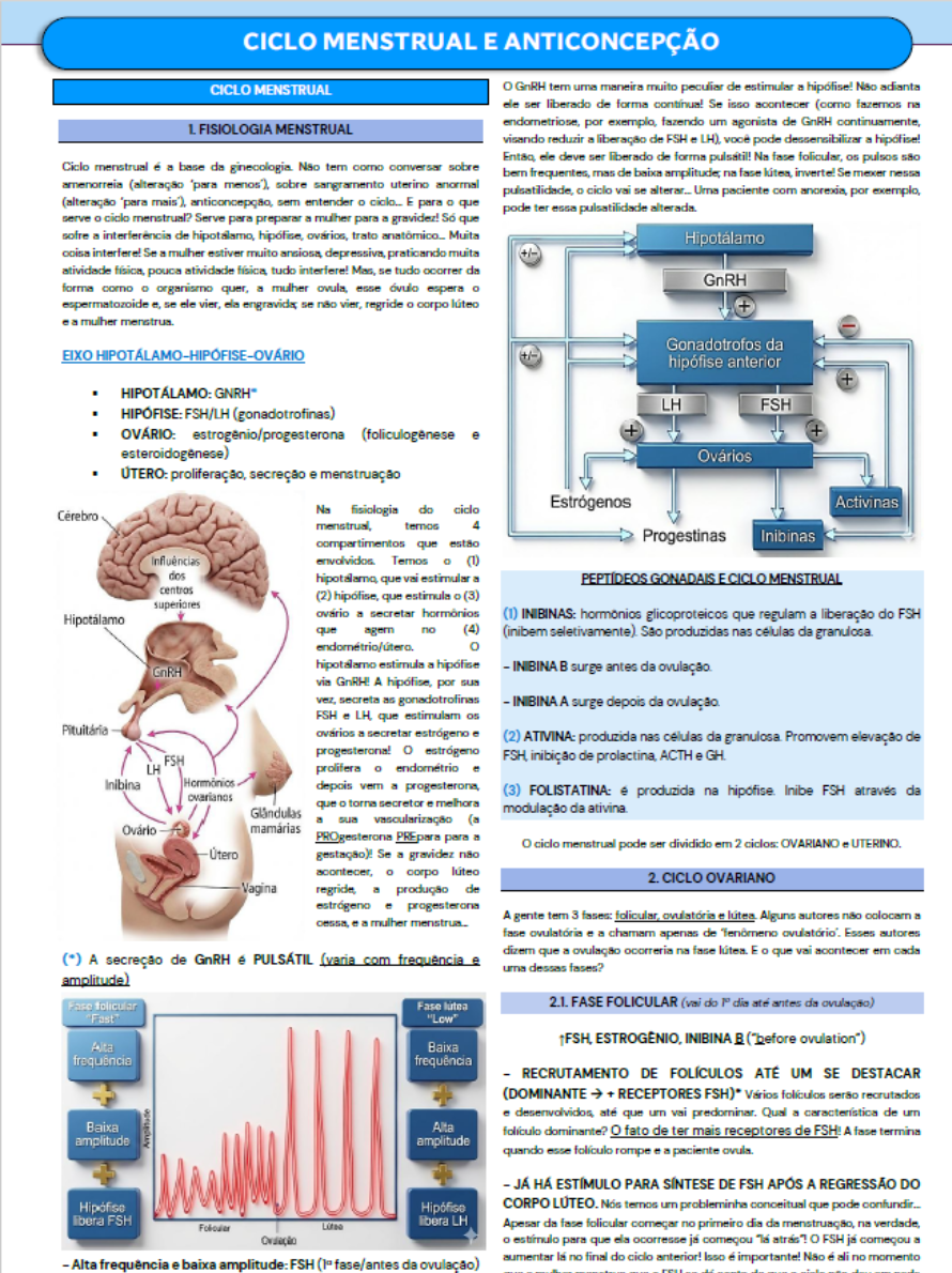 CARDS - Site WordPressElementor (7)