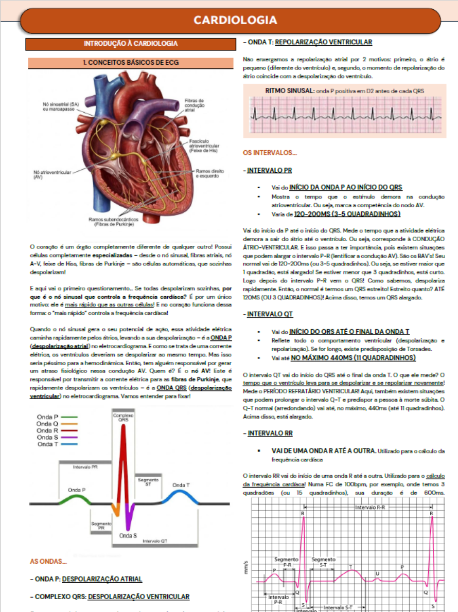 CARDS - Site WordPressElementor (8)