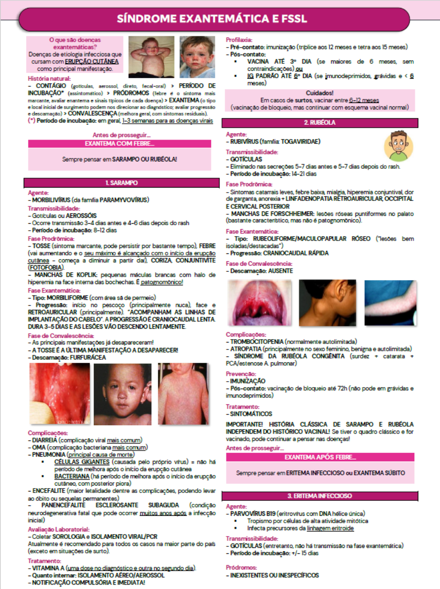 CARDS - Site WordPressElementor (9)