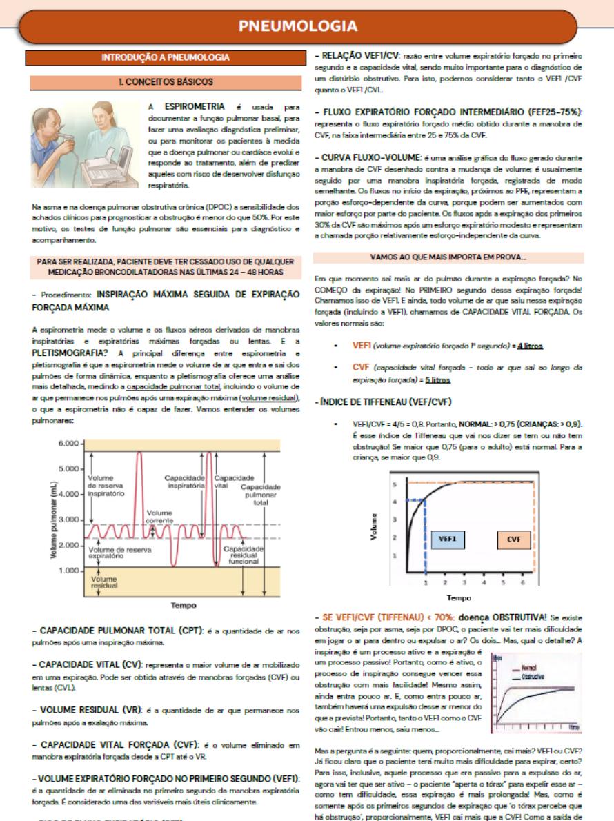 CARDS - Site WordPressElementor