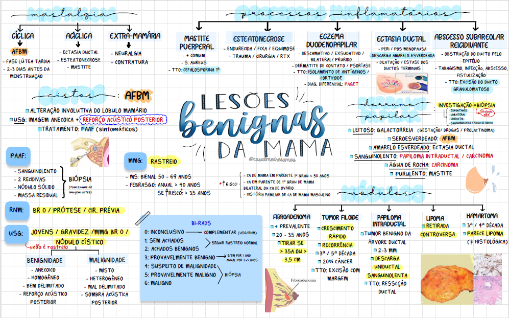 Captura de tela 2025-12-19 125449