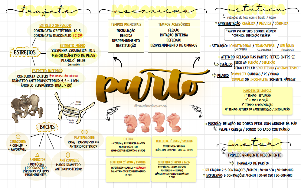 Captura de tela 2025-12-19 125506