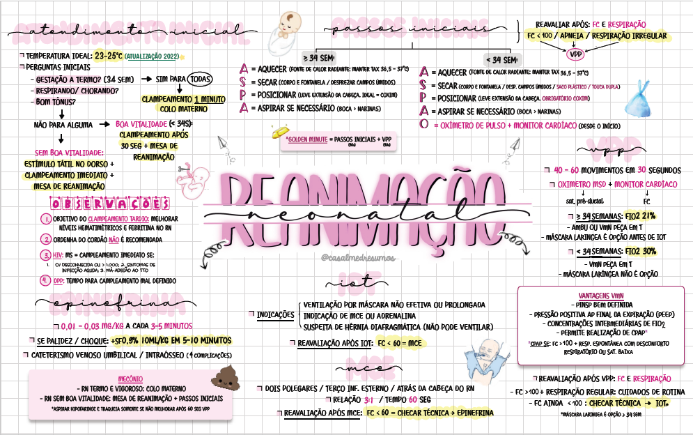 Captura de tela 2025-12-19 125519