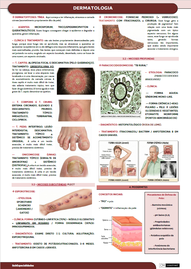 Captura de tela 2026-03-03 203926