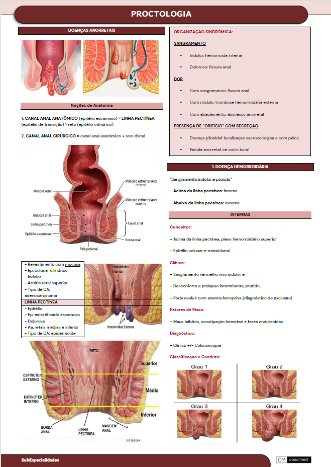 Captura de tela 2026-03-03 203951