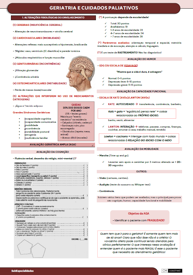 Captura de tela 2026-03-03 204013