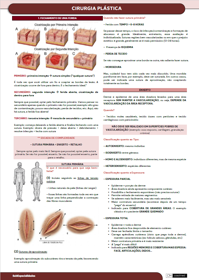Captura de tela 2026-03-03 204619