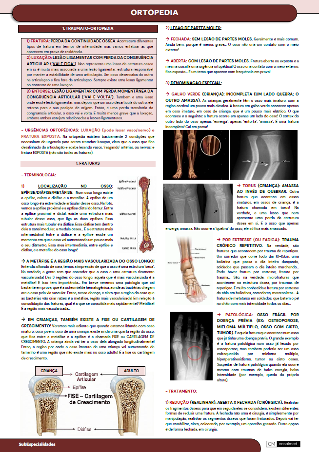 Captura de tela 2026-03-03 204637