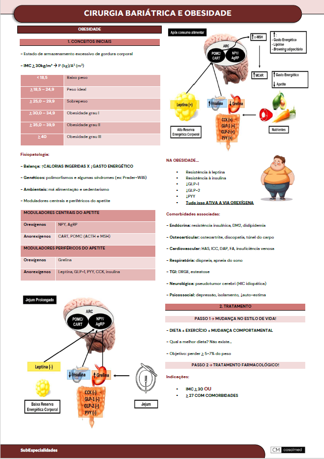 Captura de tela 2026-03-03 204659