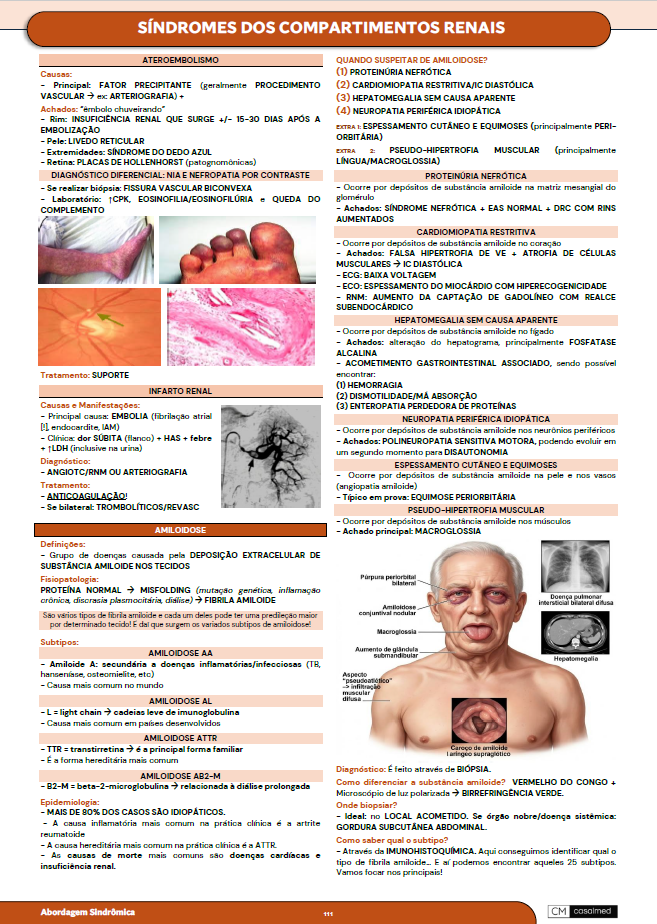 Captura de tela 2026-03-17 094853