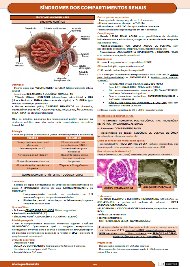 Captura de tela 2026-03-17 094907