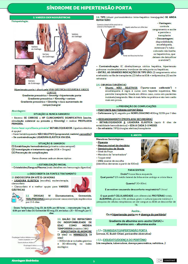 Captura de tela 2026-03-17 094937