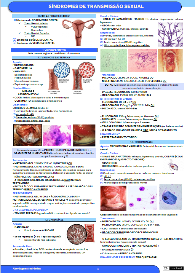 Captura de tela 2026-03-17 095026