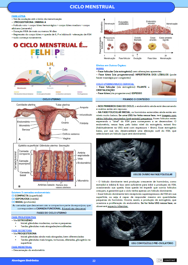Captura de tela 2026-03-17 095059