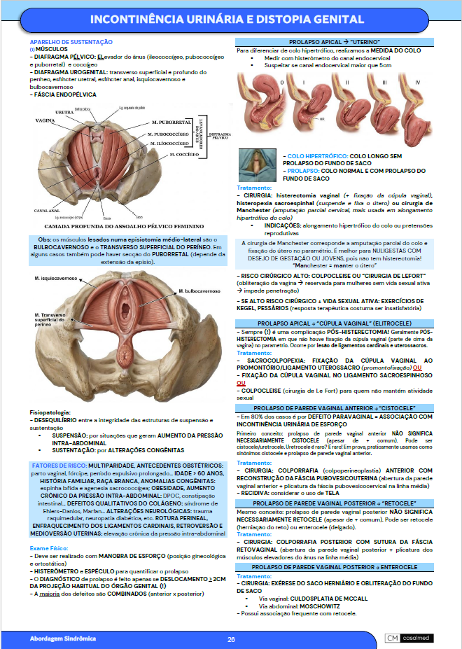 Captura de tela 2026-03-17 095110