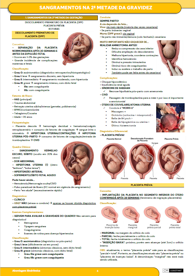 Captura de tela 2026-03-17 095127