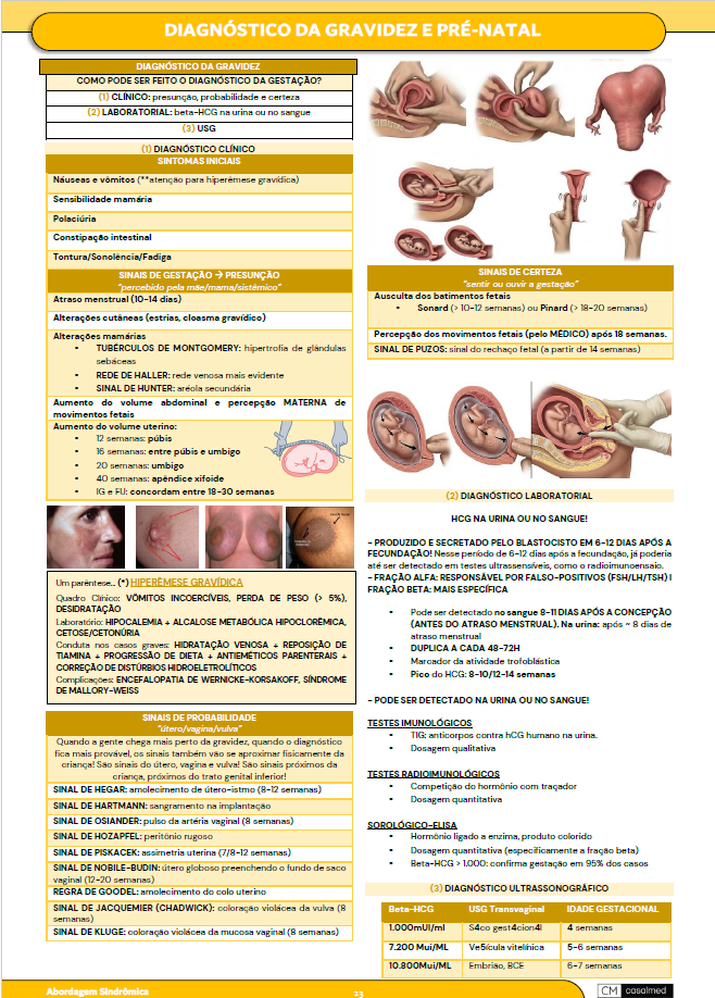 Captura de tela 2026-03-17 095156