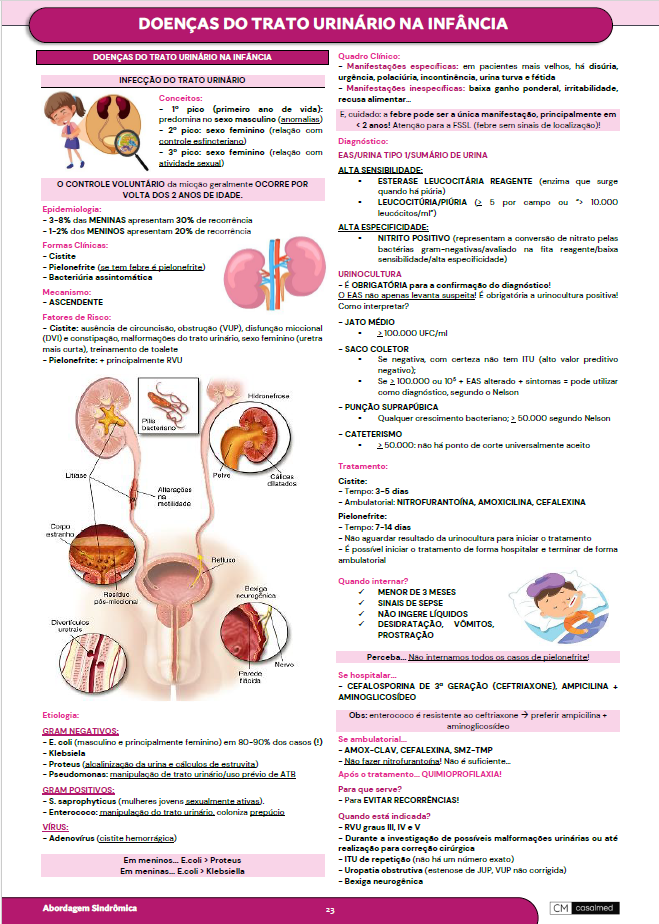 Captura de tela 2026-03-17 095239