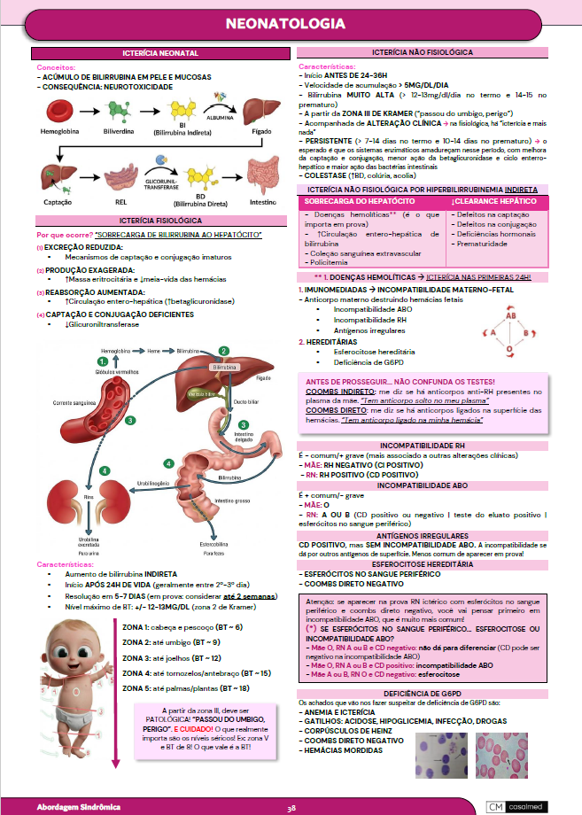 Captura de tela 2026-03-17 095306