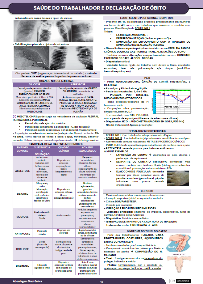 Captura de tela 2026-03-17 095419