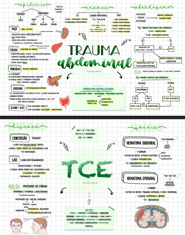 Captura de tela 2026-03-17 095739