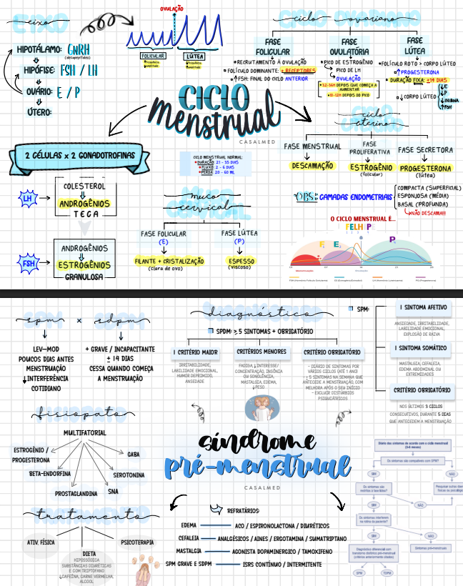 Captura de tela 2026-03-17 095831