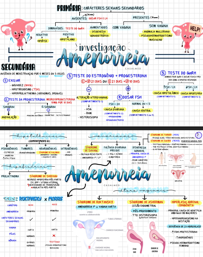 Captura de tela 2026-03-17 095850