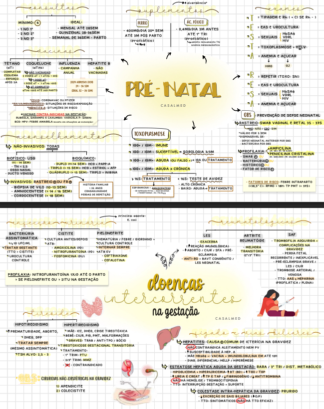 Captura de tela 2026-03-17 095913