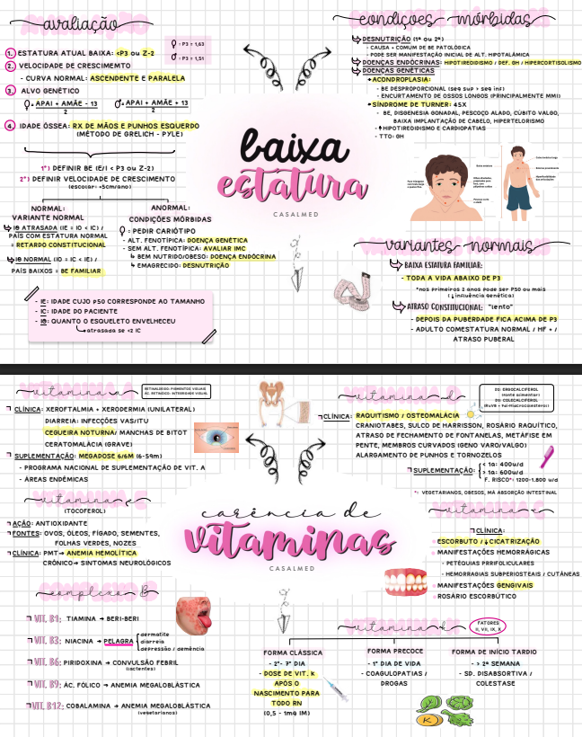 Captura de tela 2026-03-17 100026