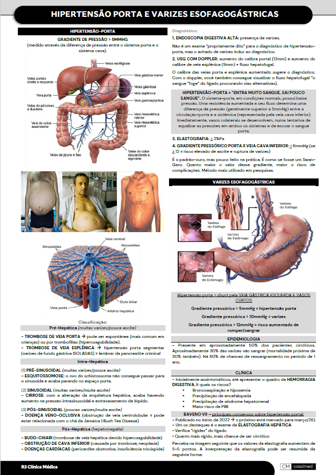 Captura de tela 2026-03-28 142810