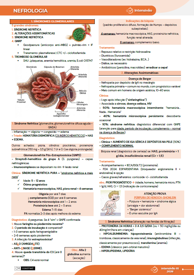 Captura de tela 2026-06-30 145831