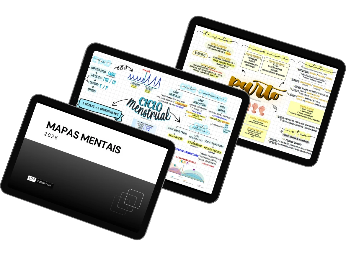 Mapas mentais